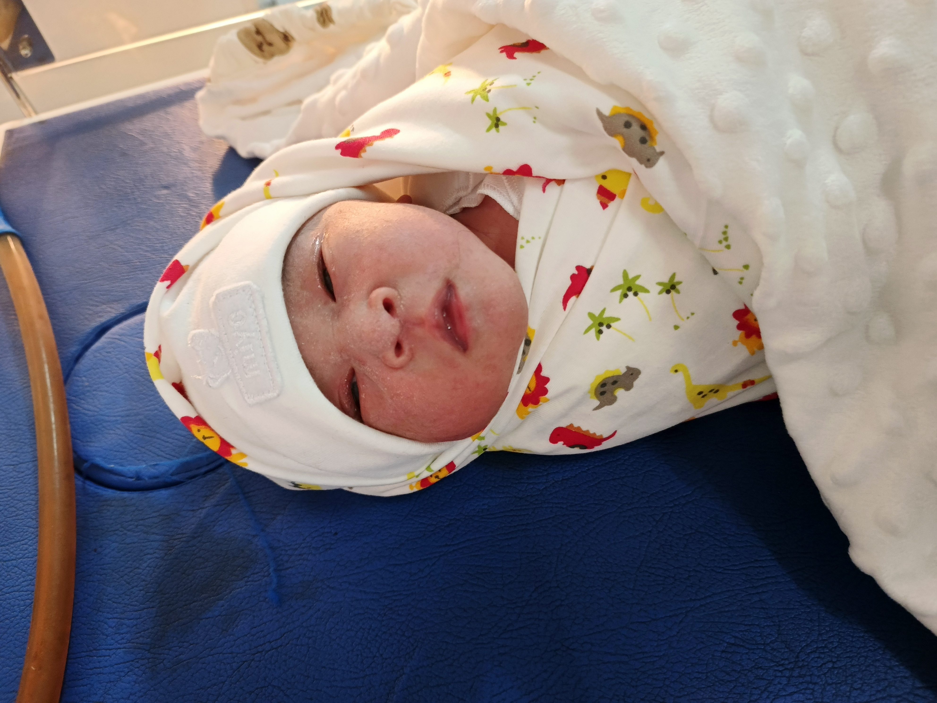 Day 1 Jadi Bayi